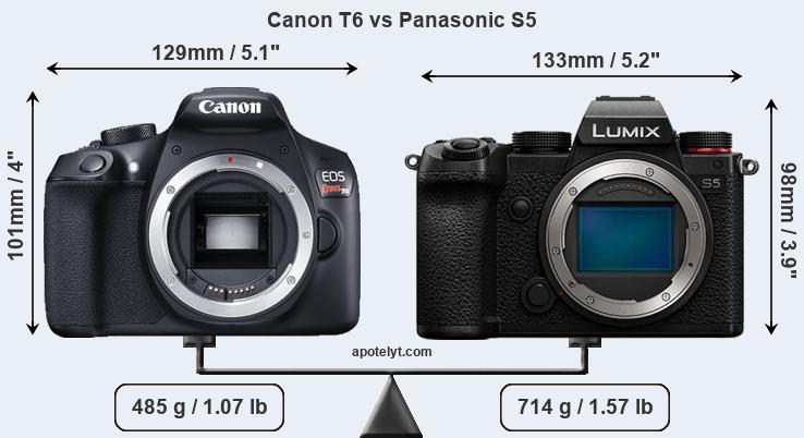 Size Canon T6 vs Panasonic S5