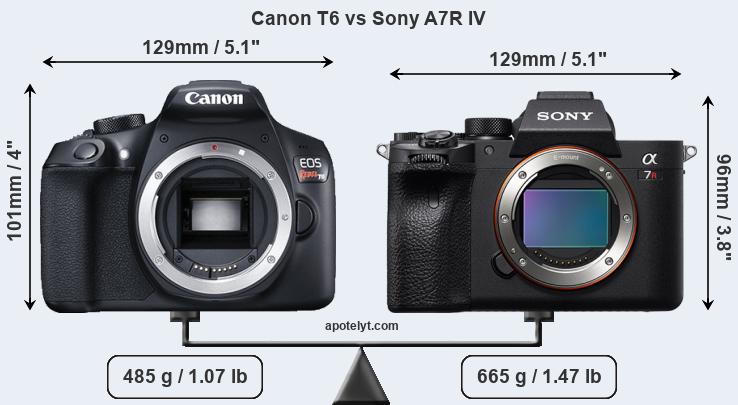 Size Canon T6 vs Sony A7R IV