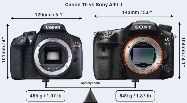 Size Canon T6 vs Sony A99 II