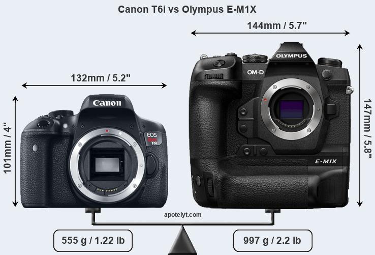 Size Canon T6i vs Olympus E-M1X