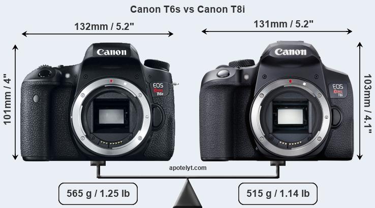 Size Canon T6s vs Canon T8i