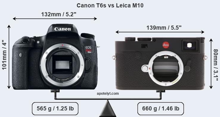 Size Canon T6s vs Leica M10