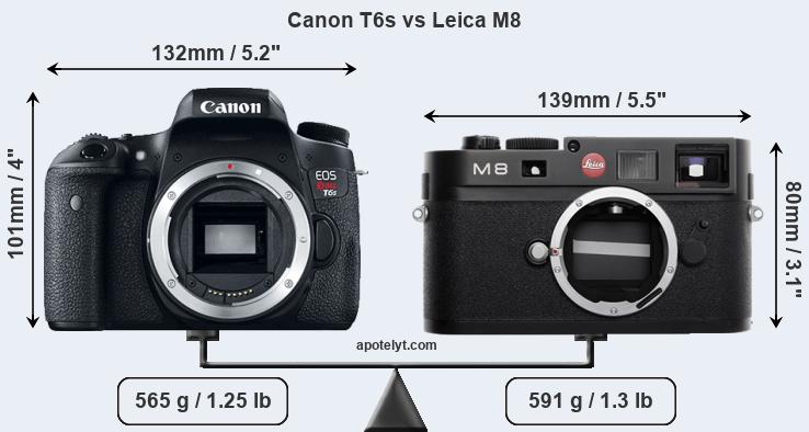Size Canon T6s vs Leica M8