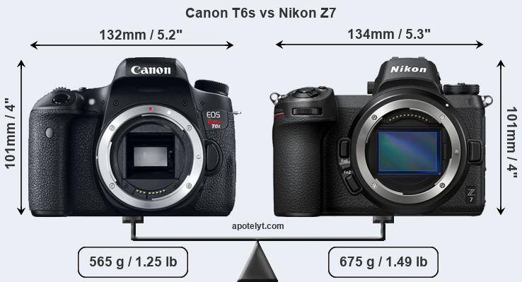 Size Canon T6s vs Nikon Z7