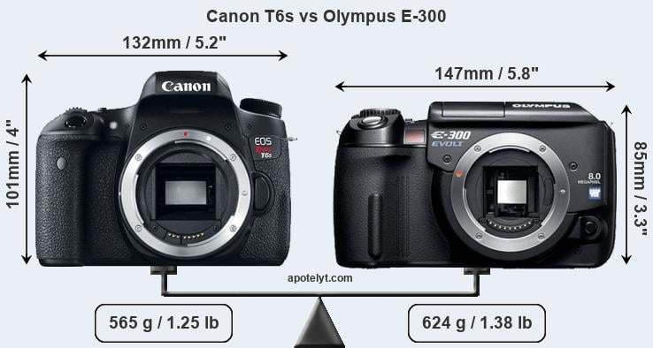 Size Canon T6s vs Olympus E-300