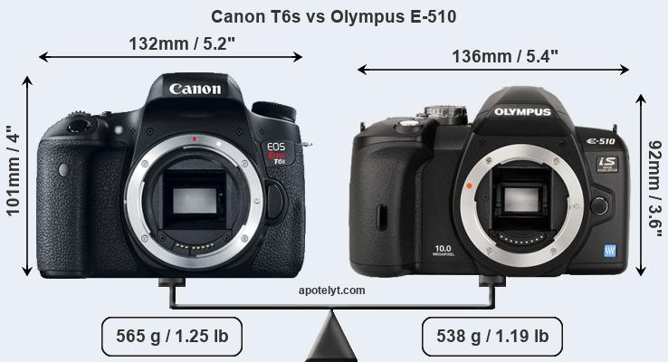 Size Canon T6s vs Olympus E-510