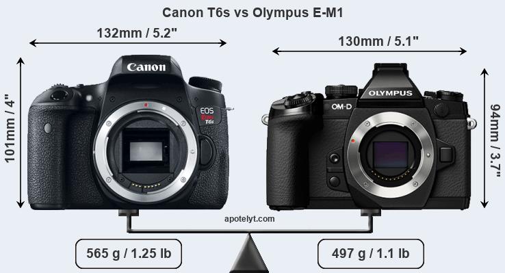 Size Canon T6s vs Olympus E-M1