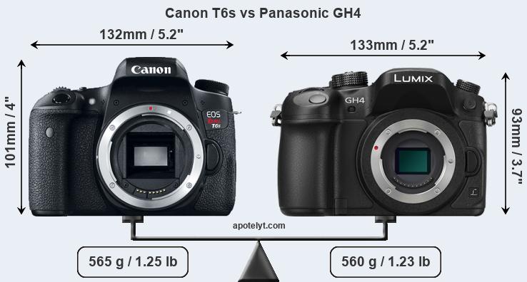 Size Canon T6s vs Panasonic GH4
