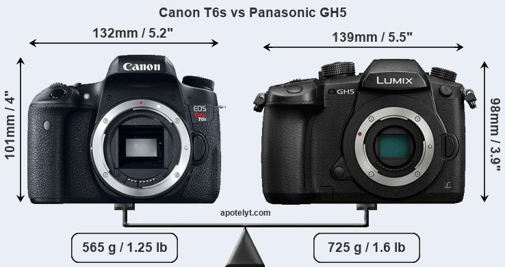 Size Canon T6s vs Panasonic GH5
