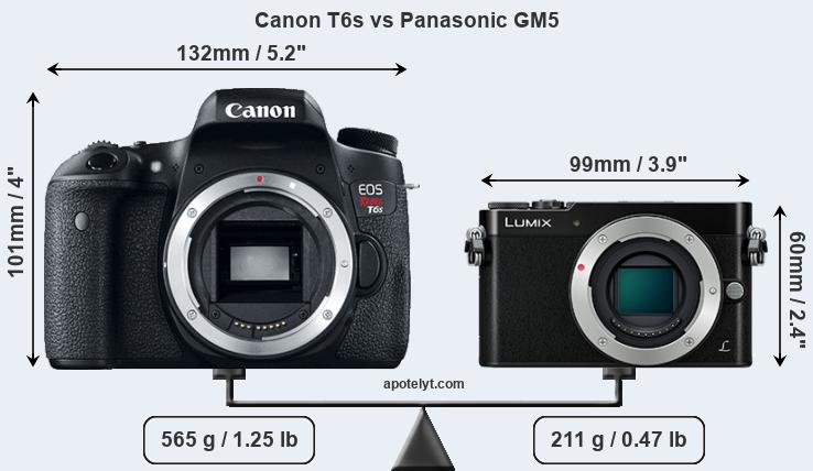 Size Canon T6s vs Panasonic GM5