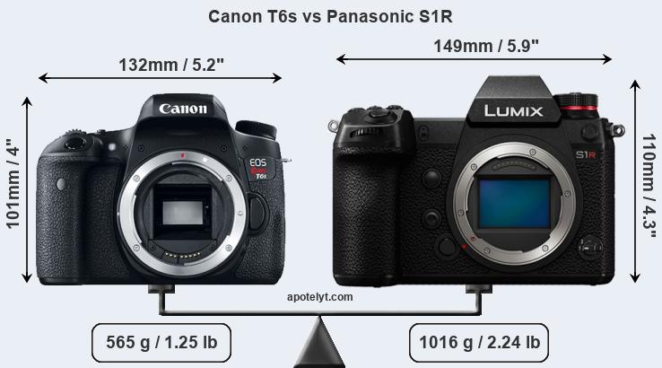 Size Canon T6s vs Panasonic S1R