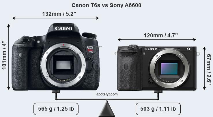 Size Canon T6s vs Sony A6600