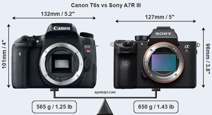 Size Canon T6s vs Sony A7R III