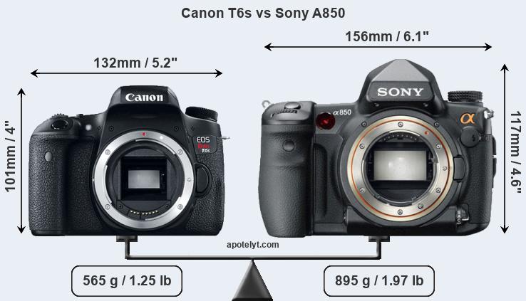Size Canon T6s vs Sony A850
