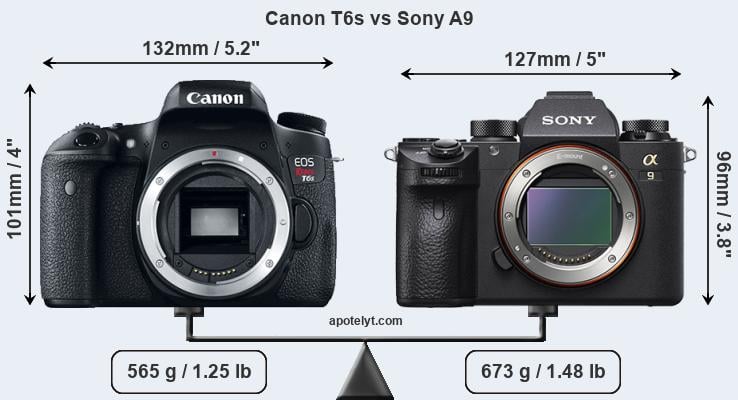 Size Canon T6s vs Sony A9