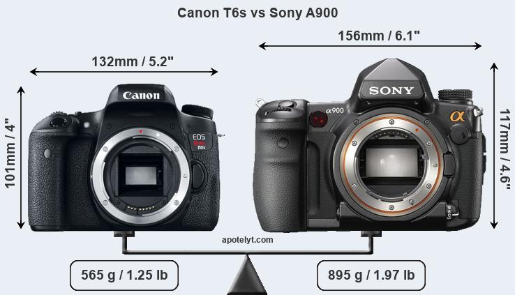 Size Canon T6s vs Sony A900