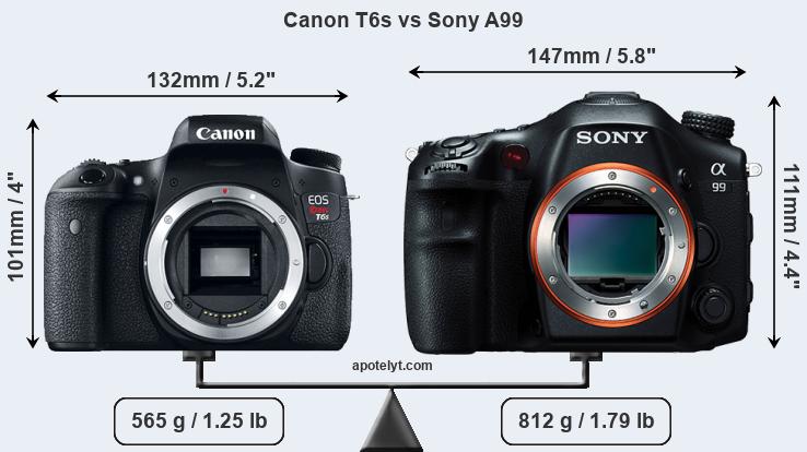 Size Canon T6s vs Sony A99