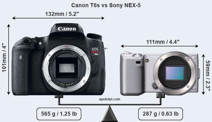 Size Canon T6s vs Sony NEX-5