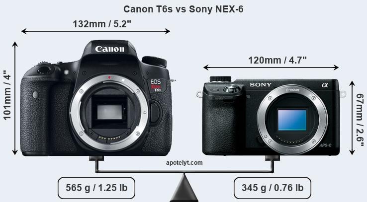 Size Canon T6s vs Sony NEX-6