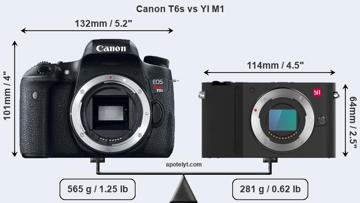 Size Canon T6s vs YI M1