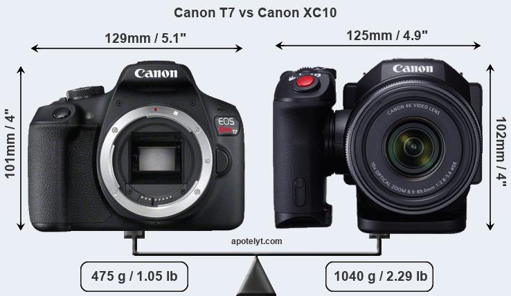 Size Canon T7 vs Canon XC10