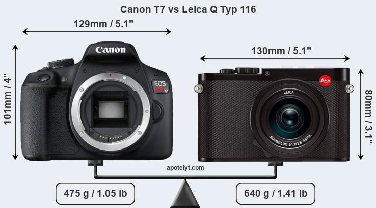 Size Canon T7 vs Leica Q Typ 116
