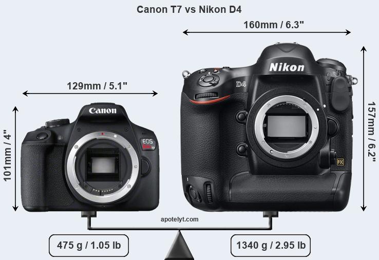 Size Canon T7 vs Nikon D4