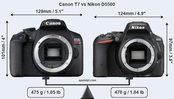 Size Canon T7 vs Nikon D5500