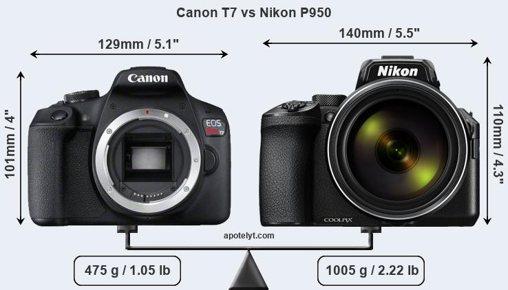 Size Canon T7 vs Nikon P950