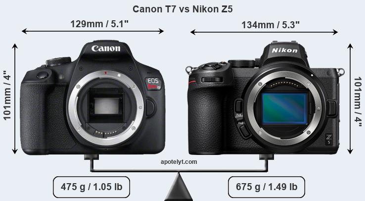 Size Canon T7 vs Nikon Z5