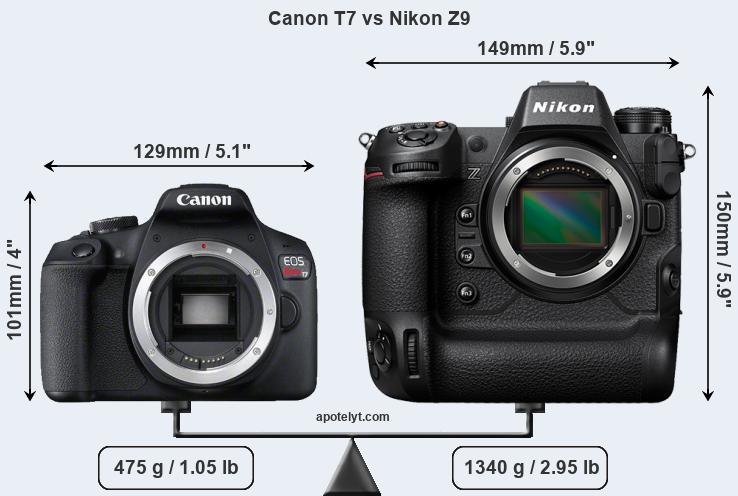 Size Canon T7 vs Nikon Z9
