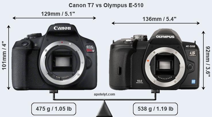 Size Canon T7 vs Olympus E-510