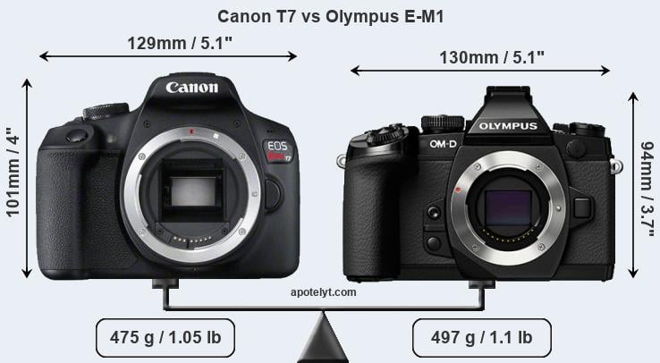 Size Canon T7 vs Olympus E-M1