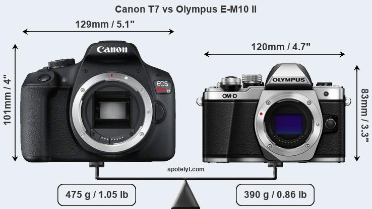 Size Canon T7 vs Olympus E-M10 II