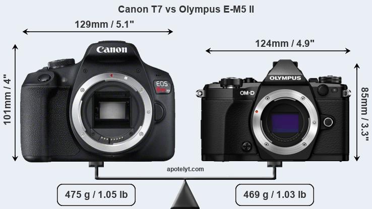 Size Canon T7 vs Olympus E-M5 II