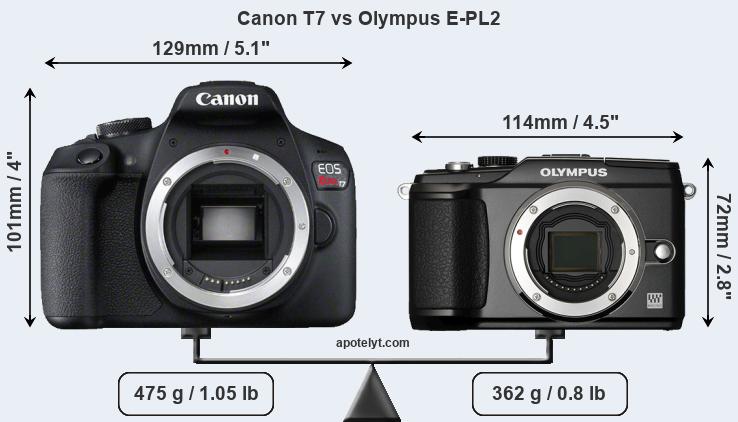 Size Canon T7 vs Olympus E-PL2