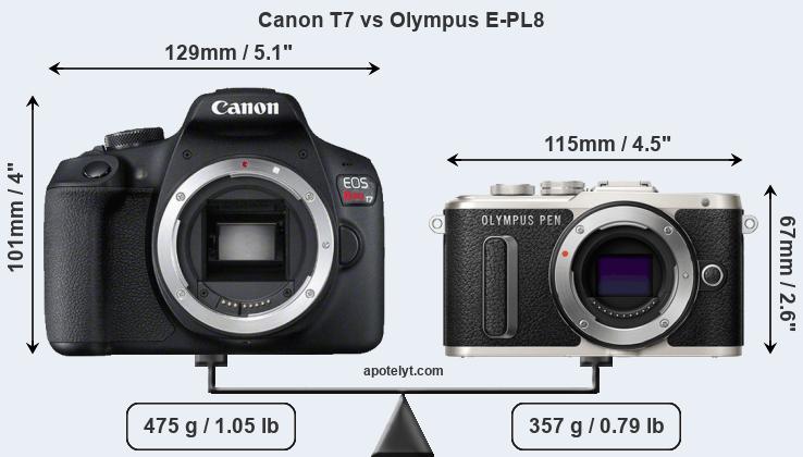Size Canon T7 vs Olympus E-PL8