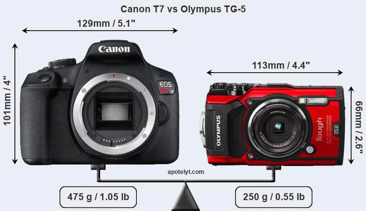 Size Canon T7 vs Olympus TG-5