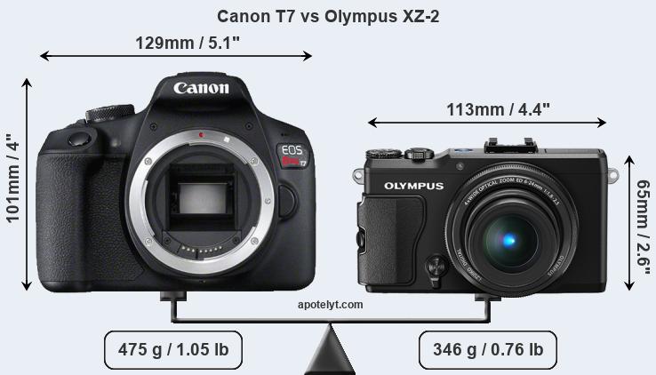 Size Canon T7 vs Olympus XZ-2