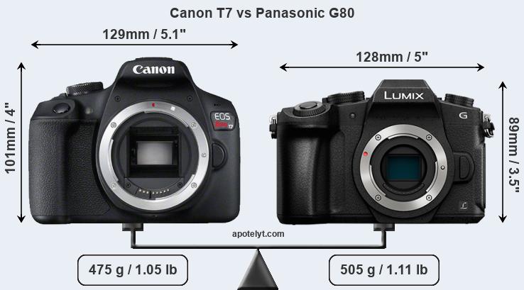 Size Canon T7 vs Panasonic G80