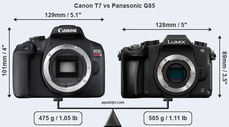 Size Canon T7 vs Panasonic G85