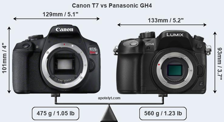 Size Canon T7 vs Panasonic GH4