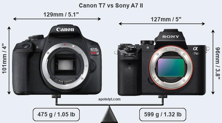 Size Canon T7 vs Sony A7 II