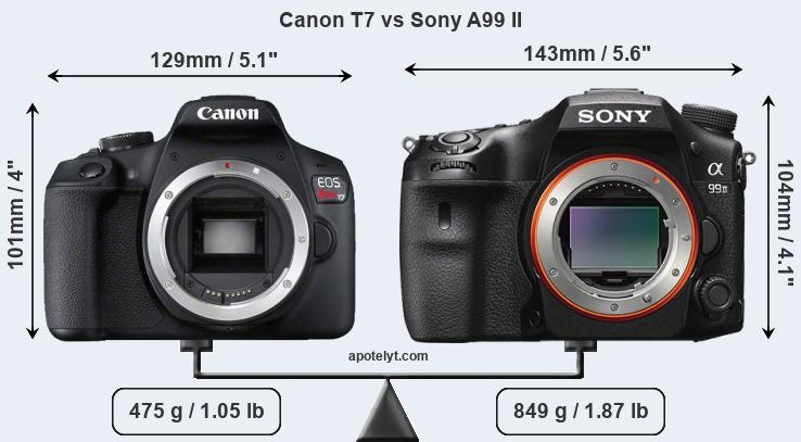 Size Canon T7 vs Sony A99 II
