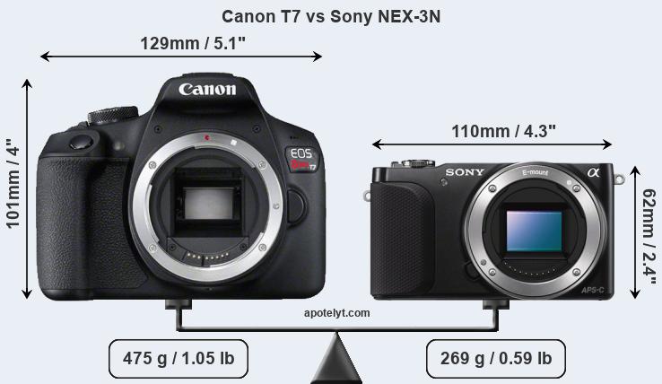 Size Canon T7 vs Sony NEX-3N