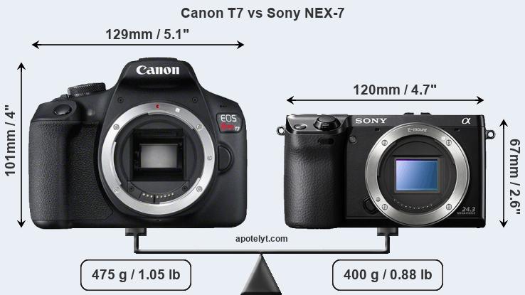 Size Canon T7 vs Sony NEX-7