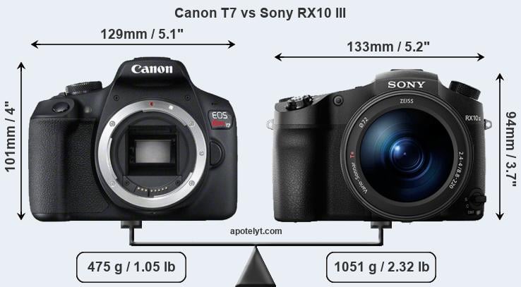 Size Canon T7 vs Sony RX10 III