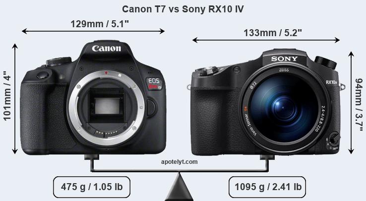 Size Canon T7 vs Sony RX10 IV