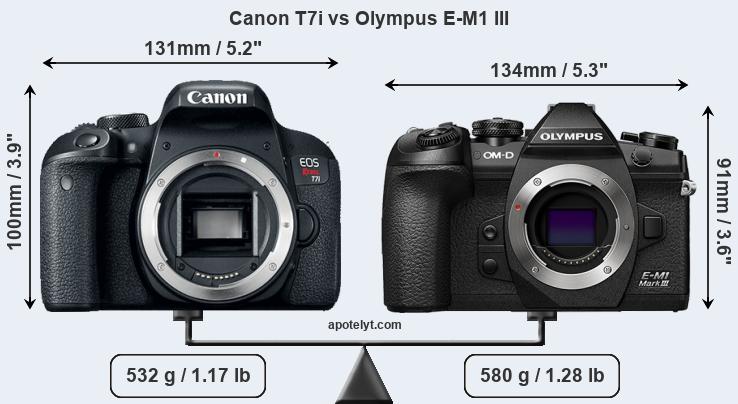 Size Canon T7i vs Olympus E-M1 III
