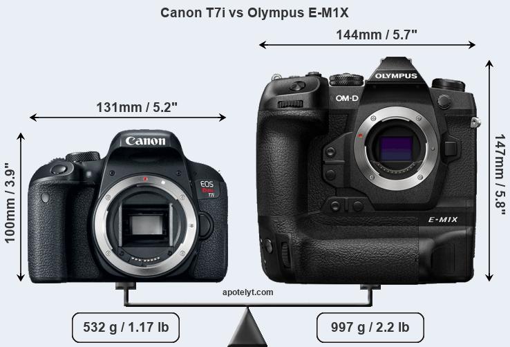 Size Canon T7i vs Olympus E-M1X